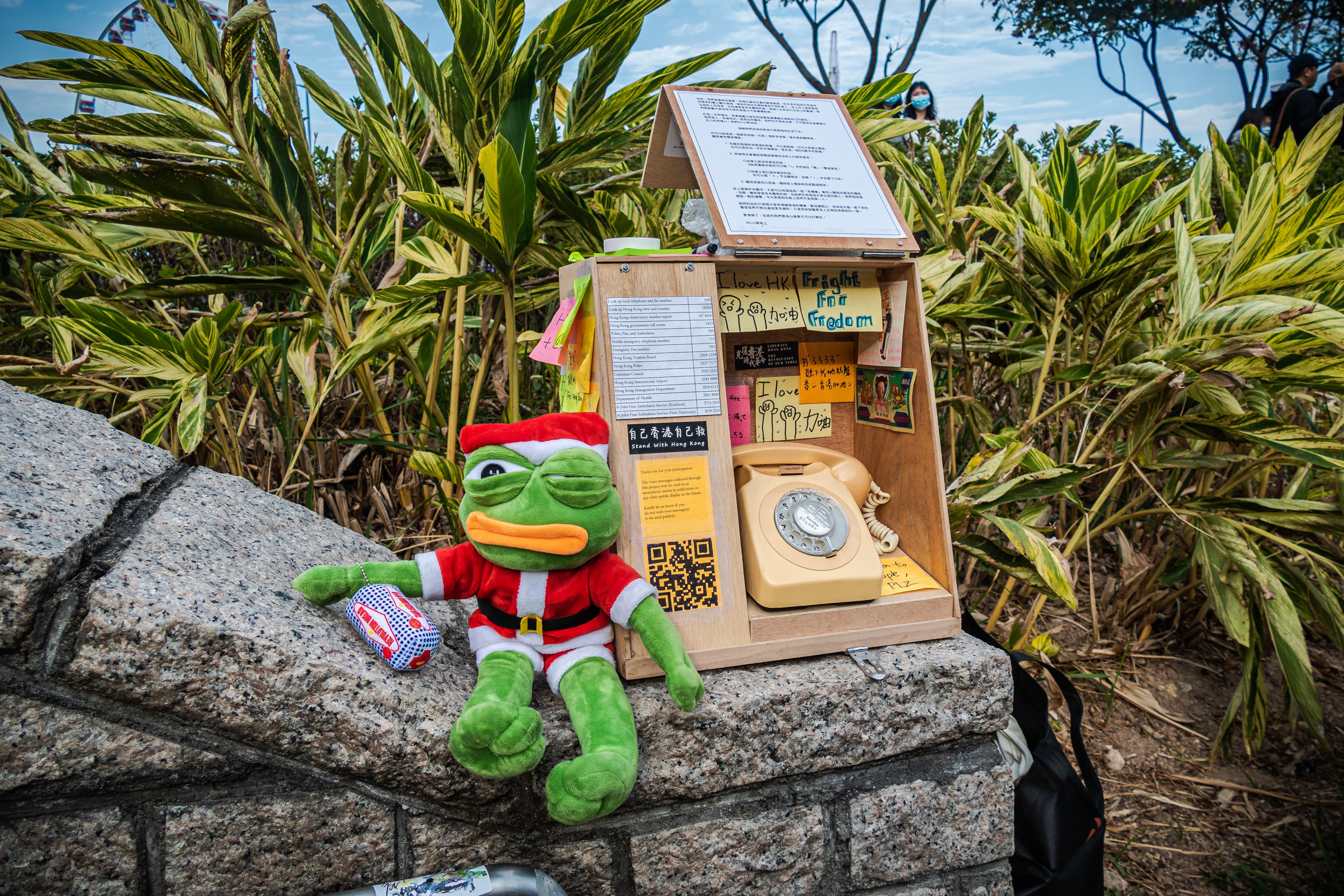 Pepe room is awake